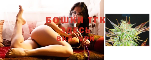 не бодяженный Магас