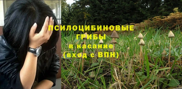 винт Александровское